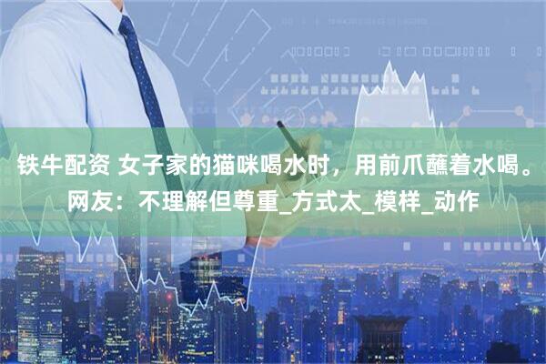 铁牛配资 女子家的猫咪喝水时，用前爪蘸着水喝。网友：不理解但尊重_方式太_模样_动作
