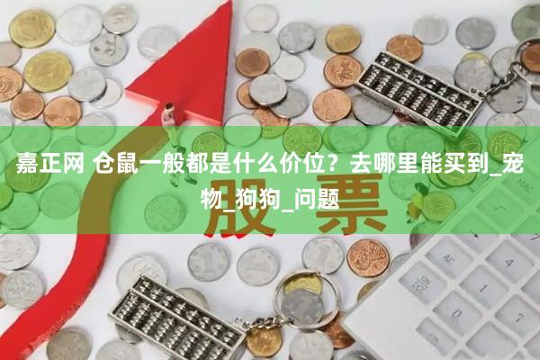 嘉正网 仓鼠一般都是什么价位？去哪里能买到_宠物_狗狗_问题