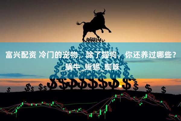 富兴配资 冷门的宠物，除了猫狗，你还养过哪些？_蜗牛_蜥蜴_蜘蛛