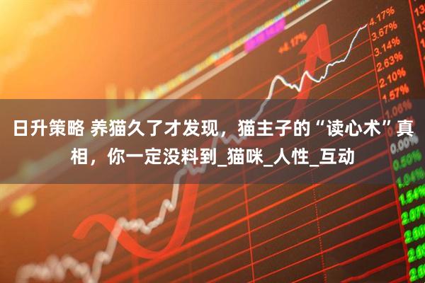 日升策略 养猫久了才发现，猫主子的“读心术”真相，你一定没料到_猫咪_人性_互动