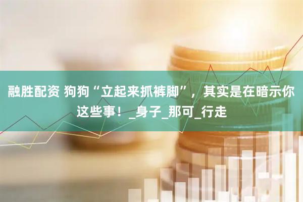 融胜配资 狗狗“立起来抓裤脚”，其实是在暗示你这些事！_身子_那可_行走