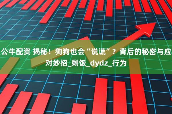 公牛配资 揭秘！狗狗也会“说谎”？背后的秘密与应对妙招_剩饭_dydz_行为
