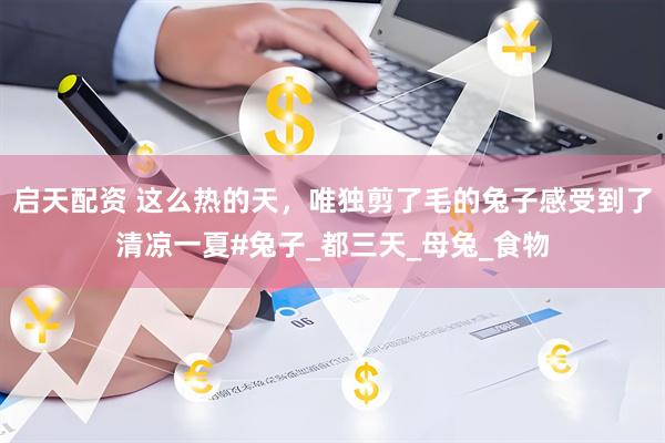 启天配资 这么热的天，唯独剪了毛的兔子感受到了清凉一夏#兔子_都三天_母兔_食物