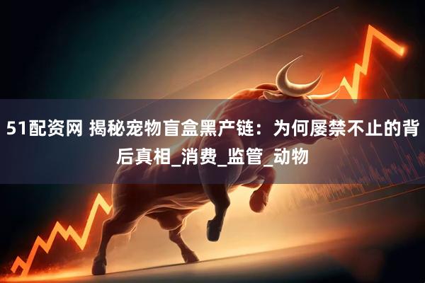 51配资网 揭秘宠物盲盒黑产链：为何屡禁不止的背后真相_消费_监管_动物