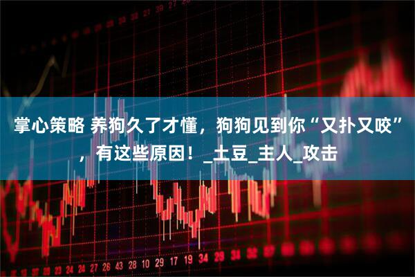 掌心策略 养狗久了才懂，狗狗见到你“又扑又咬”，有这些原因！_土豆_主人_攻击