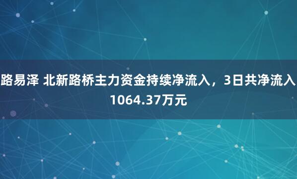 路易泽 北新路桥主力资金持续净流入，3日共净流入1064.37万元