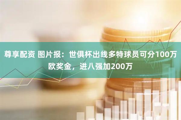 尊享配资 图片报：世俱杯出线多特球员可分100万欧奖金，进八强加200万