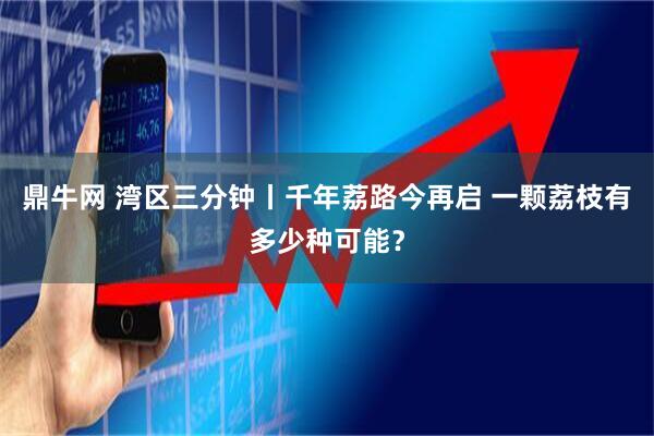 鼎牛网 湾区三分钟丨千年荔路今再启 一颗荔枝有多少种可能？