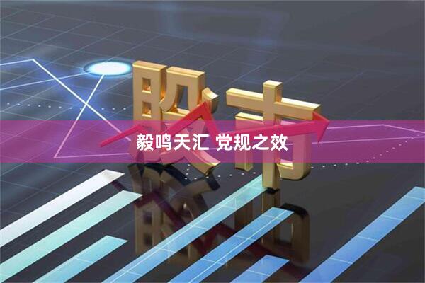 毅鸣天汇 党规之效