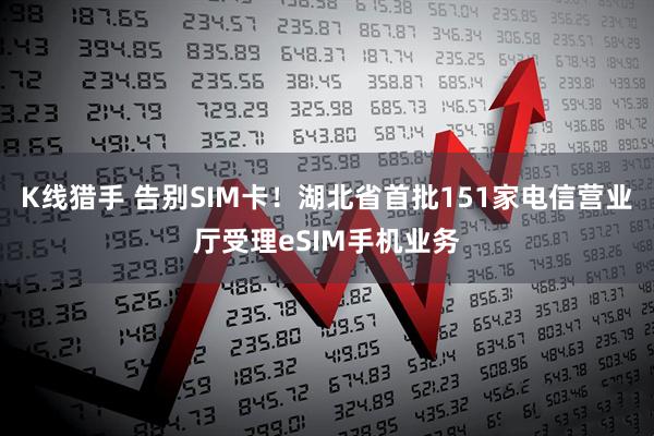 K线猎手 告别SIM卡!湖北省首批151家电信营业厅受理eSIM手机业务