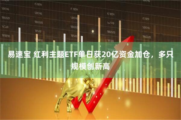 易速宝 红利主题ETF单日获20亿资金加仓,多只规模创新高