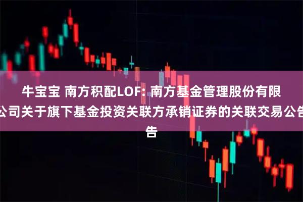 牛宝宝 南方积配LOF: 南方基金管理股份有限公司关于旗下基金投资关联方承销证券的关联交易公告