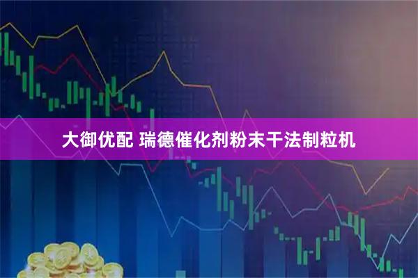 大御优配 瑞德催化剂粉末干法制粒机