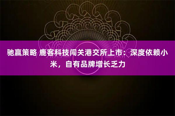 驰赢策略 鹿客科技闯关港交所上市：深度依赖小米，自有品牌增长乏力