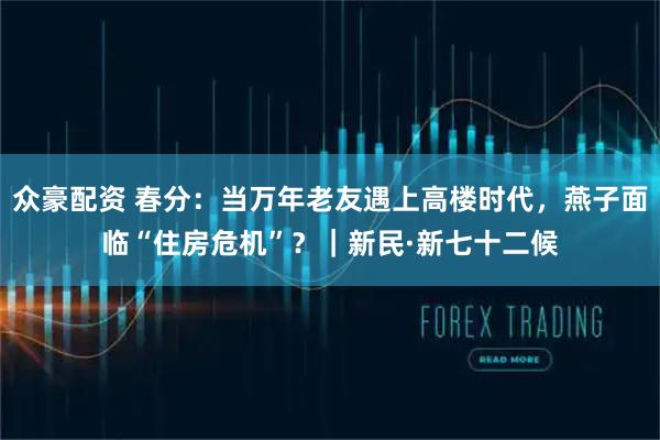 众豪配资 春分：当万年老友遇上高楼时代，燕子面临“住房危机”？｜新民·新七十二候