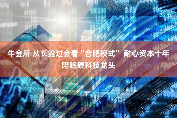牛金所 从长鑫过会看“合肥模式” 耐心资本十年陪跑硬科技龙头
