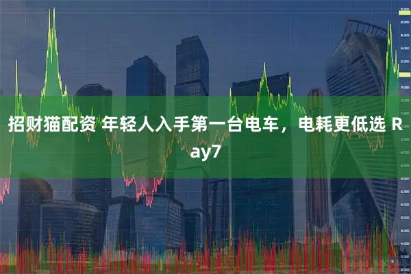 招财猫配资 年轻人入手第一台电车，电耗更低选 Ray7