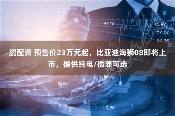 鹏配资 预售价23万元起，比亚迪海狮08即将上市，提供纯电/插混可选